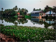 _DSF9704 (Copy)